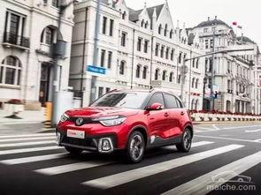 每日国产汽车视频