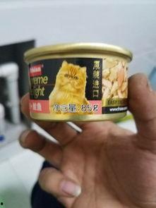 国产猫主食罐头活动视频